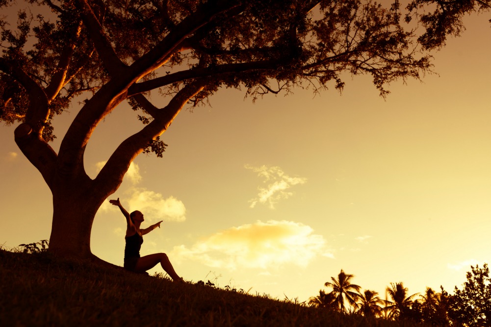 Gratitude & Affrmations - veganexcursions.com