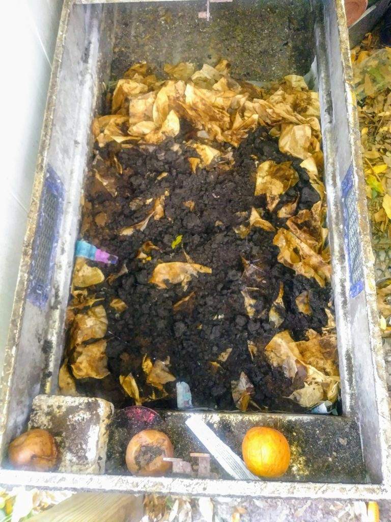 DIY Worm Compost Bin Vegan Excursions
