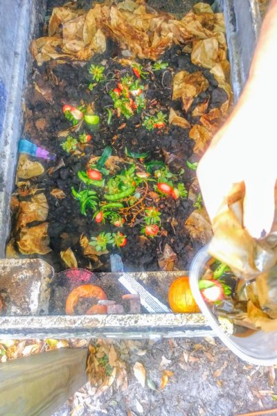 DIY: Worm Compost Bin
